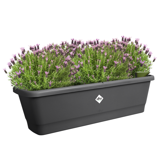 noa balkonkasten l living schwarz